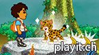 Rain Forest Adventure