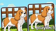 Dogs Spot The Differences