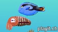 Find The Fish