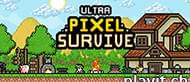Ultra Pixel Survive